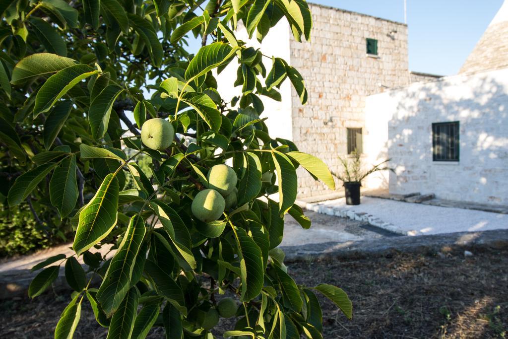Maison Milleottocento Cisternino Exterior foto