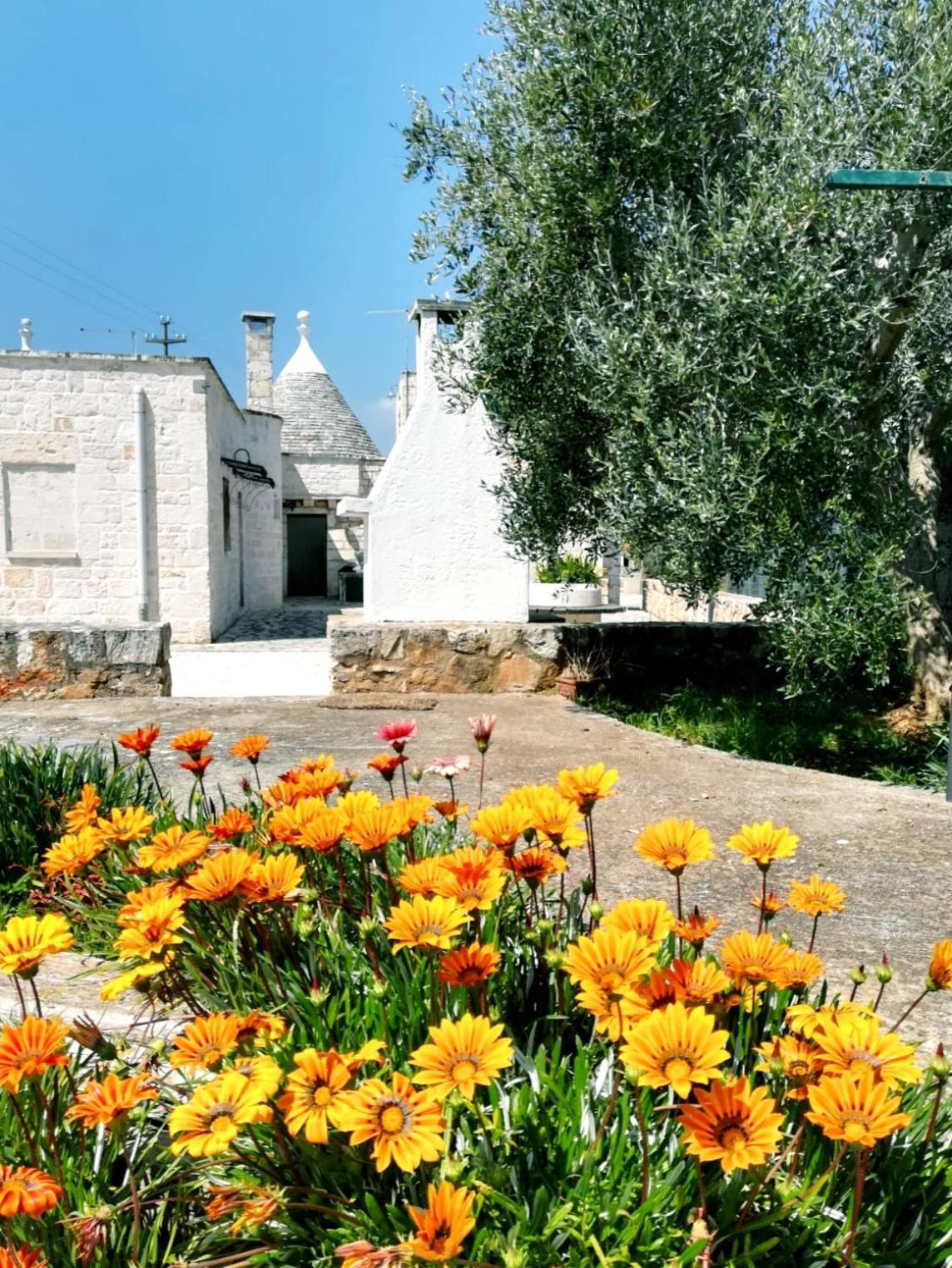 Maison Milleottocento Cisternino Exterior foto
